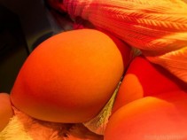 Фото проститутки Карина №2 в городе Магнитогорск